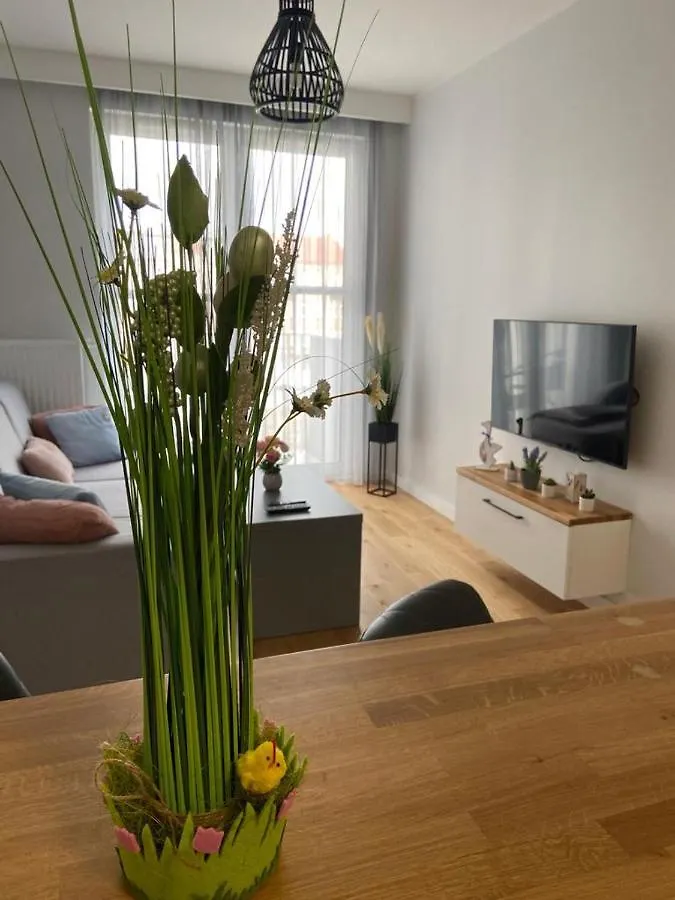 Apartament Aura Rybaki contacts